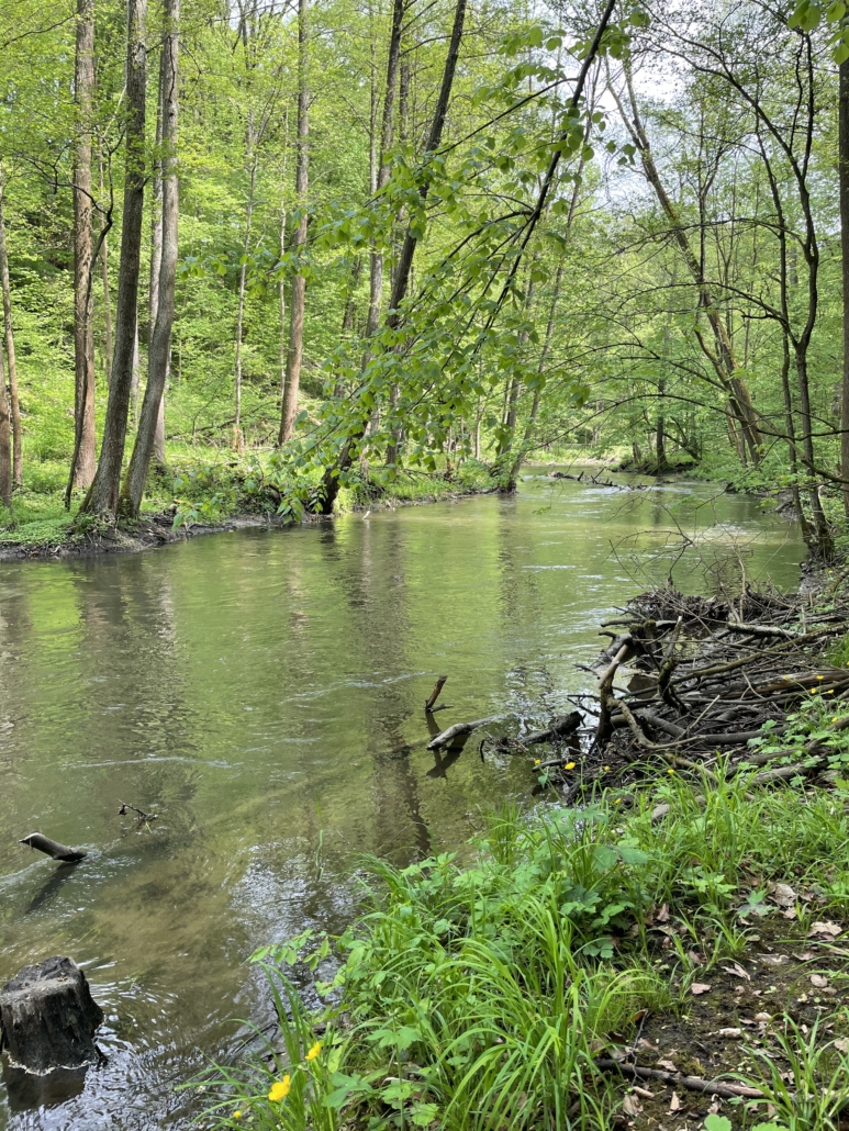 Szlaki kajakowe Krutyni, Łyny i Sapiny